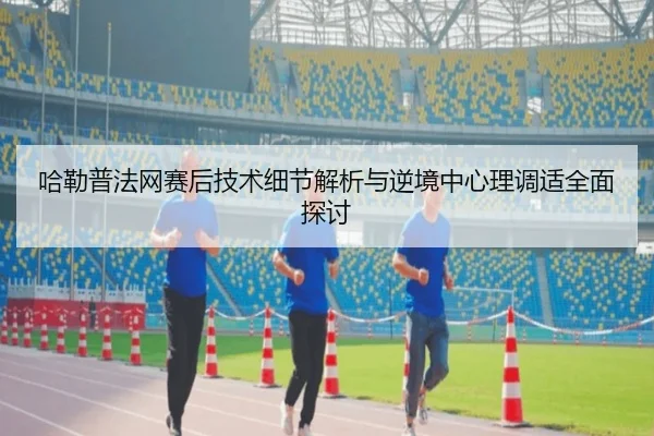 哈勒普法网赛后技术细节解析与逆境中心理调适全面探讨（NG28）